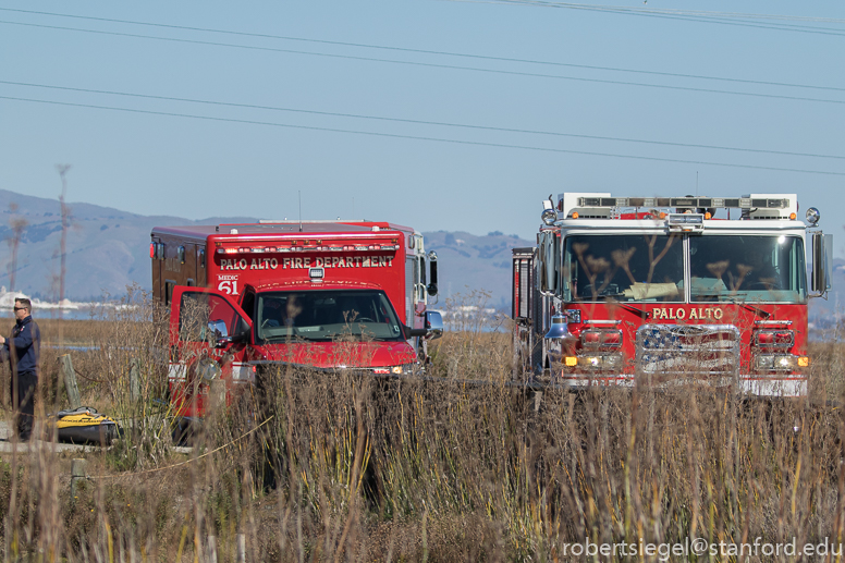 baylands